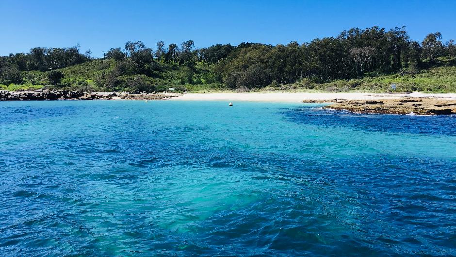 Cruise the turquoise waters of Jervis Bay, visit spots only accessible by water and discover the diverse wildlife along the way.

